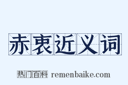 赤衷近义词是什么意思的图片